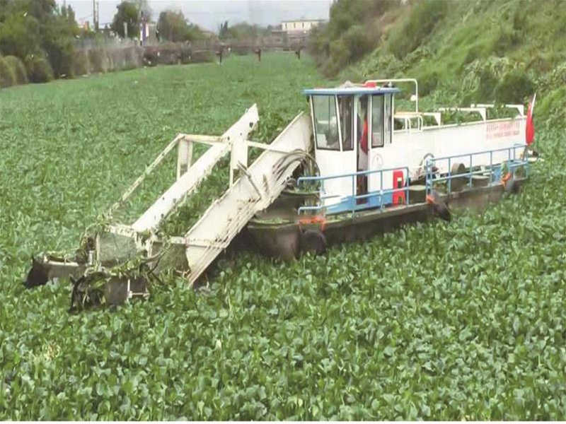 Hengpeng Weed Cutting/Cleaning Machine Hot Sale